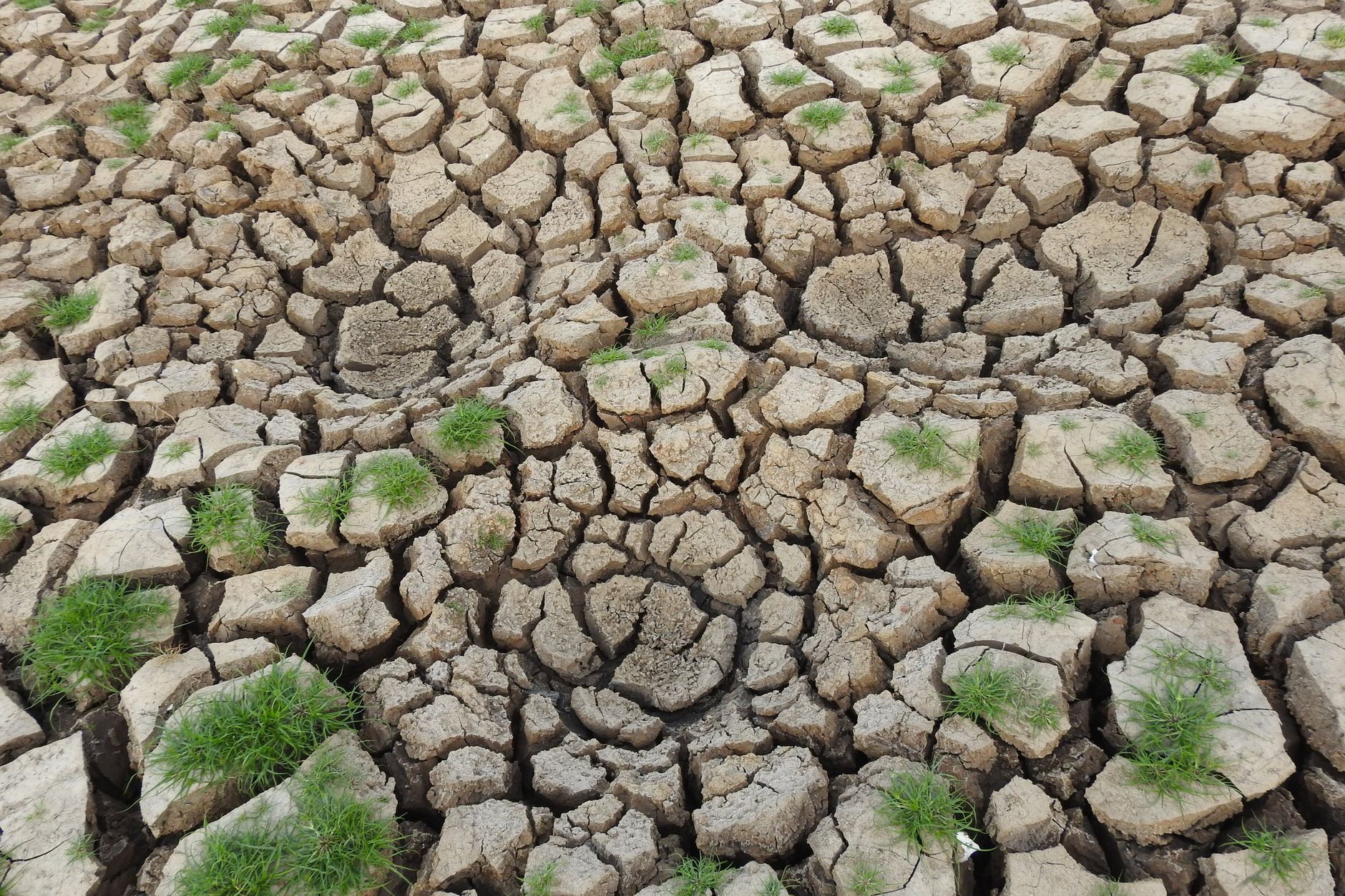 AI and climate change: The worst overlooked issue in report